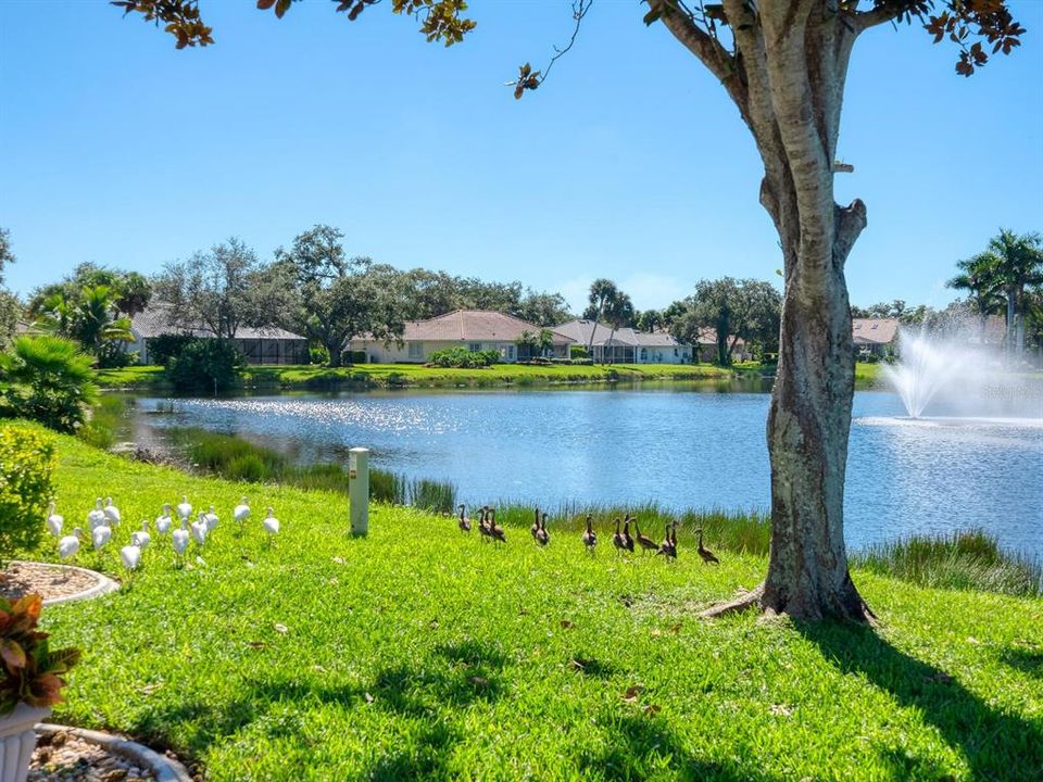 Active With Contract: $525,000 (3 beds, 2 baths, 2252 Square Feet)