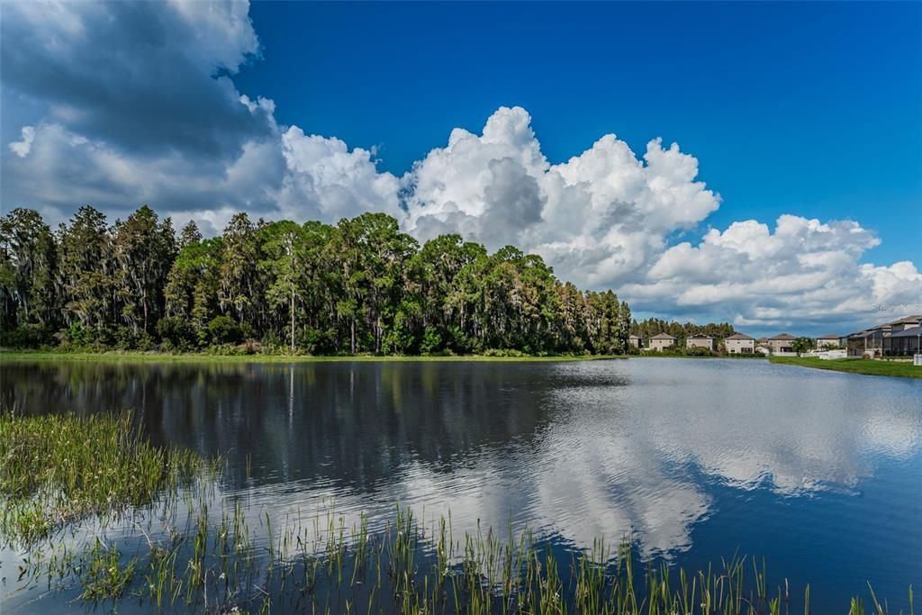 Active With Contract: $515,000 (4 beds, 4 baths, 2562 Square Feet)