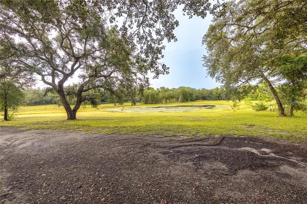 待售: $750,000 (8 贝兹, 6 浴室, 3728 平方英尺)