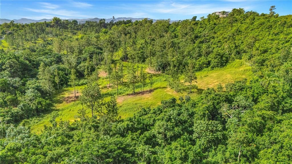 На продажу: $330,000 (4.86 acres)