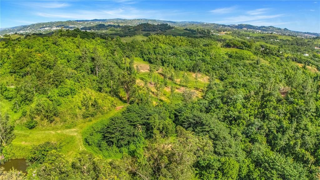 На продажу: $330,000 (4.86 acres)