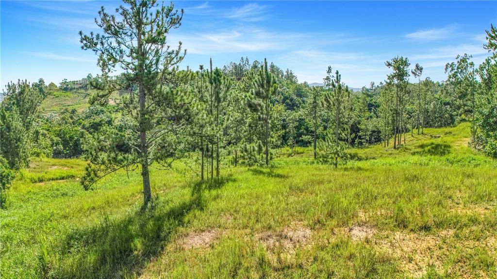 На продажу: $330,000 (4.86 acres)