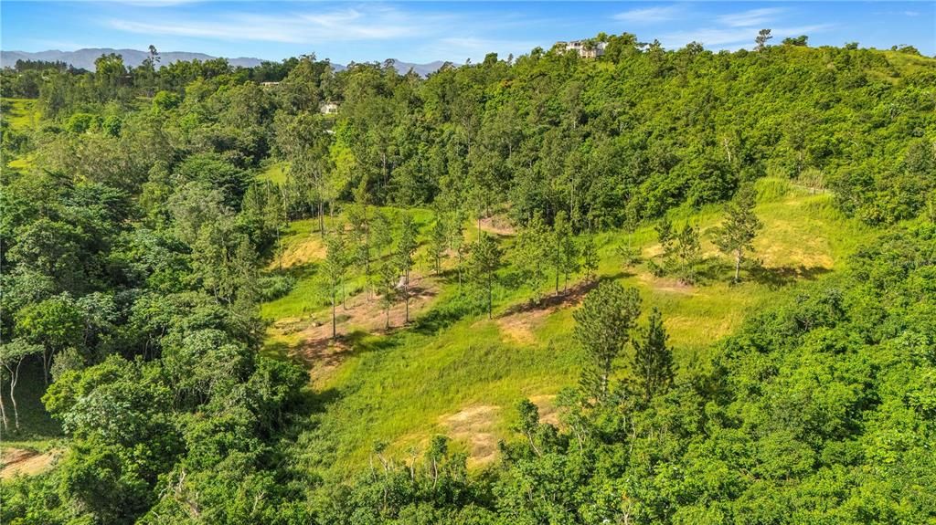 На продажу: $330,000 (4.86 acres)