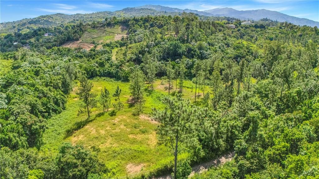 На продажу: $330,000 (4.86 acres)