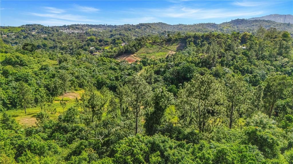 На продажу: $330,000 (4.86 acres)