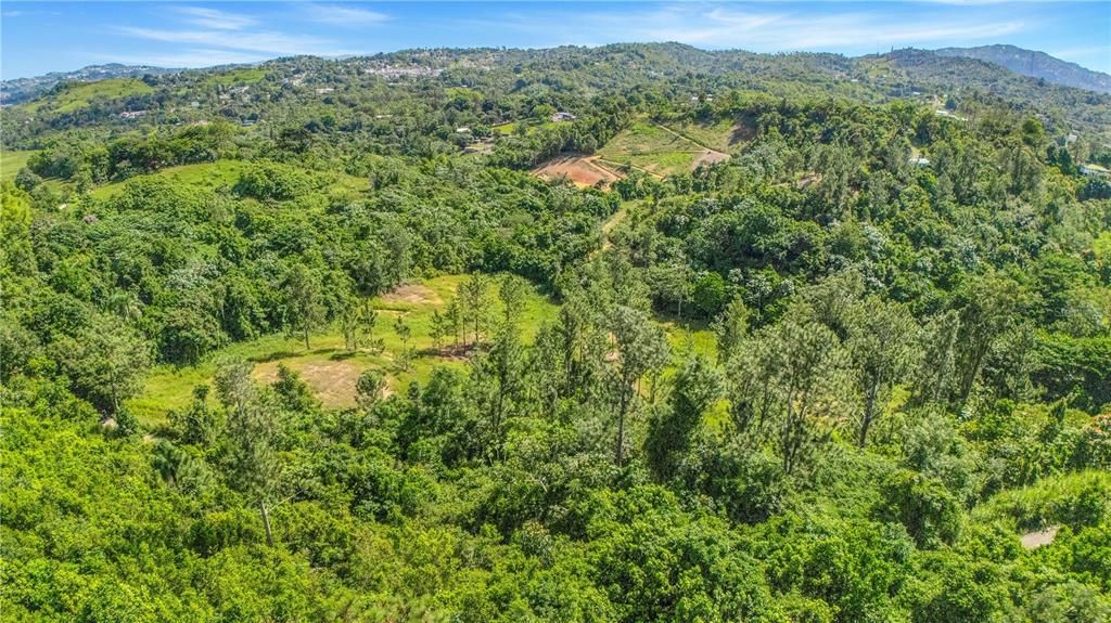 На продажу: $330,000 (4.86 acres)