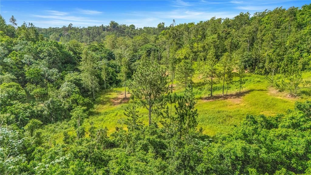 На продажу: $330,000 (4.86 acres)