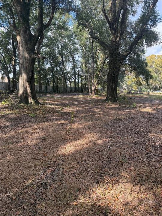 Activo con contrato: $425,000 (3 camas, 2 baños, 1656 Pies cuadrados)