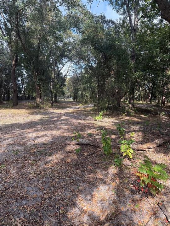 Activo con contrato: $425,000 (3 camas, 2 baños, 1656 Pies cuadrados)