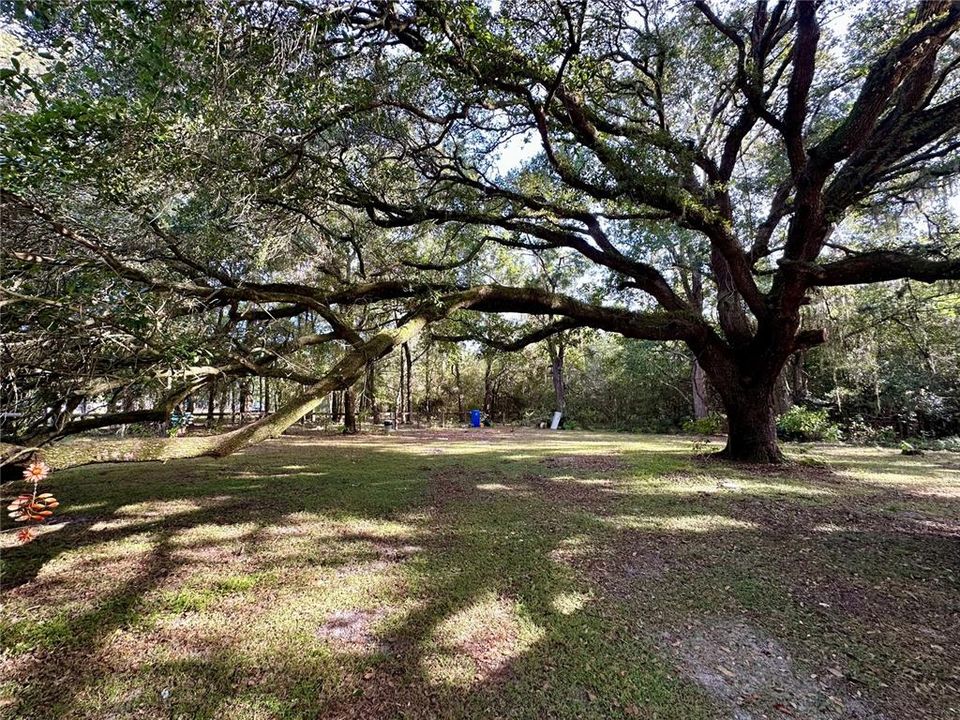 For Sale: $475,000 (3 beds, 2 baths, 1656 Square Feet)