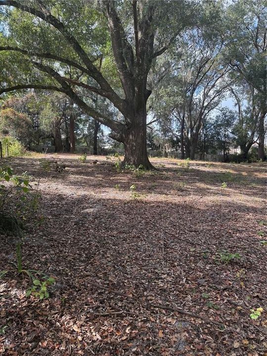 Activo con contrato: $425,000 (3 camas, 2 baños, 1656 Pies cuadrados)