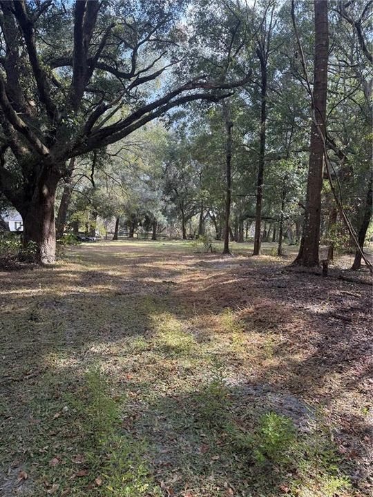 Activo con contrato: $425,000 (3 camas, 2 baños, 1656 Pies cuadrados)