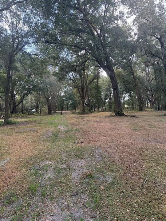 Activo con contrato: $425,000 (3 camas, 2 baños, 1656 Pies cuadrados)