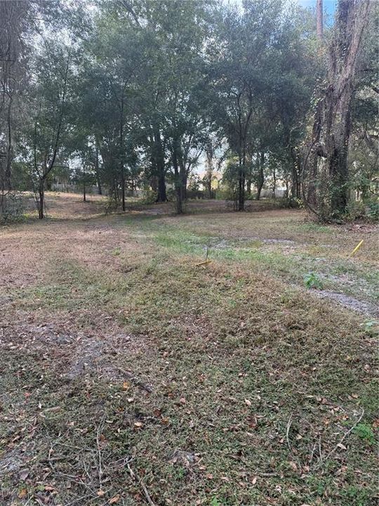 Activo con contrato: $425,000 (3 camas, 2 baños, 1656 Pies cuadrados)