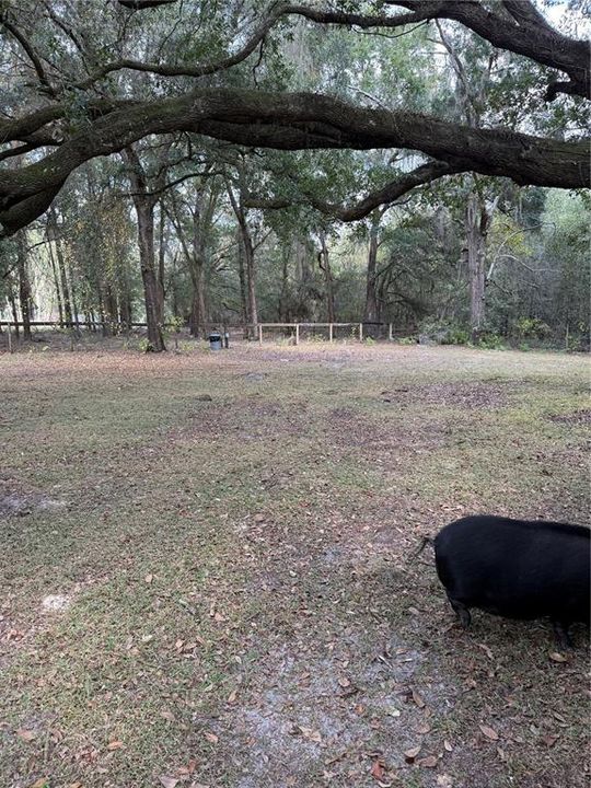 Activo con contrato: $425,000 (3 camas, 2 baños, 1656 Pies cuadrados)