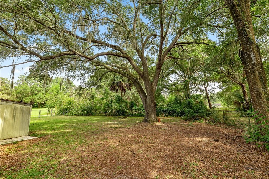 Active With Contract: $179,900 (2 beds, 2 baths, 1066 Square Feet)