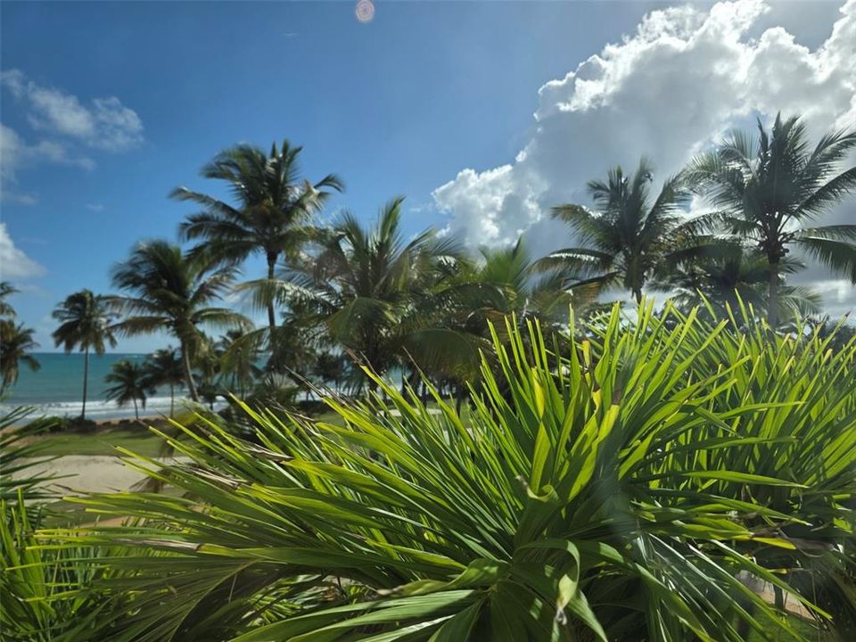 出租: $5,000 (2 贝兹, 2 浴室, 1635 平方英尺)