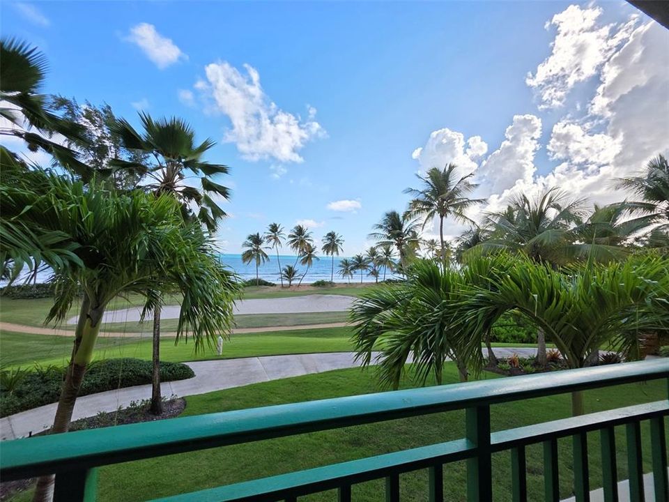 出租: $5,000 (2 贝兹, 2 浴室, 1635 平方英尺)