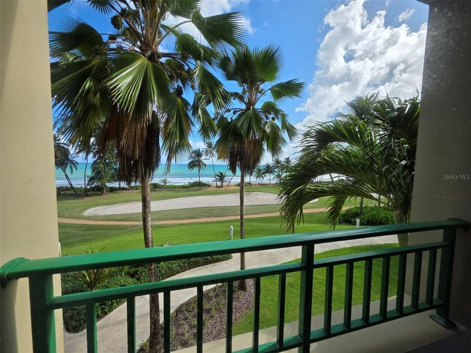 出租: $5,000 (2 贝兹, 2 浴室, 1635 平方英尺)