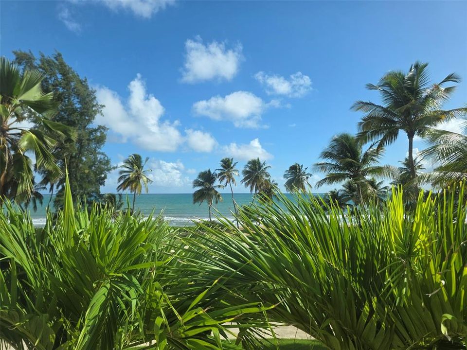 出租: $5,000 (2 贝兹, 2 浴室, 1635 平方英尺)