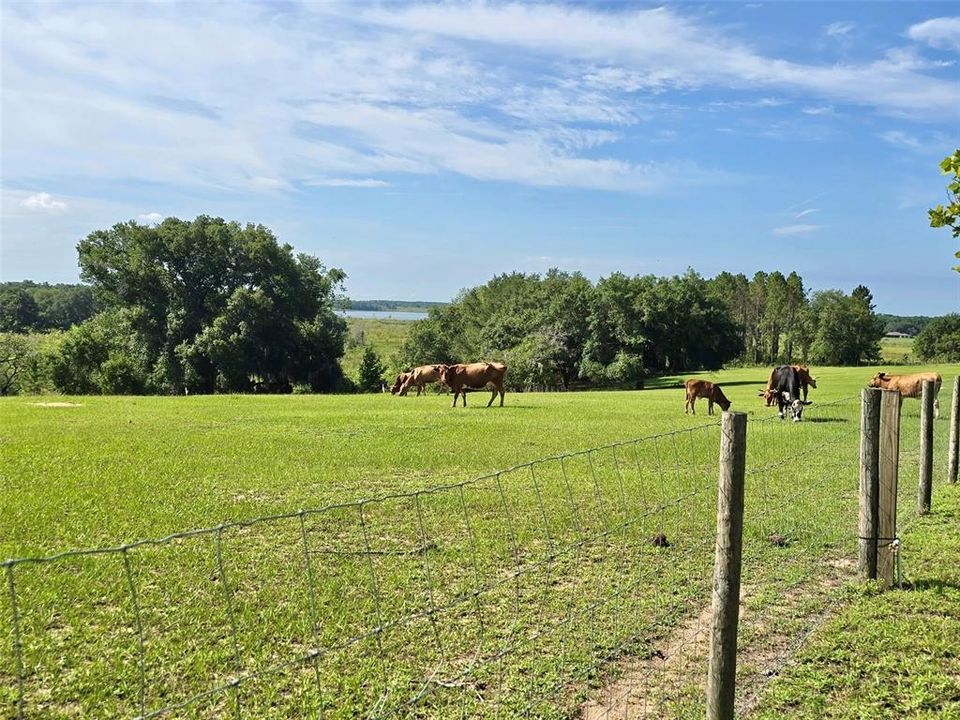 For Sale: $679,900 (3 beds, 2 baths, 1188 Square Feet)