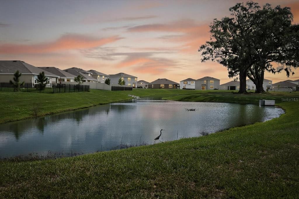 На продажу: $445,000 (4 спален, 2 ванн, 1846 Квадратных фут)