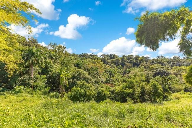 На продажу: $1,595,000 (4 спален, 3 ванн, 3688 Квадратных фут)