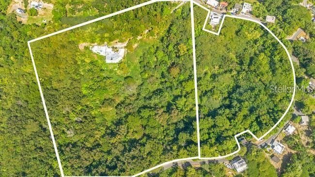 На продажу: $1,595,000 (4 спален, 3 ванн, 3688 Квадратных фут)