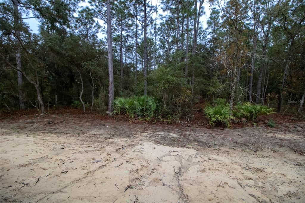 На продажу: $605,000 (3 спален, 3 ванн, 2606 Квадратных фут)