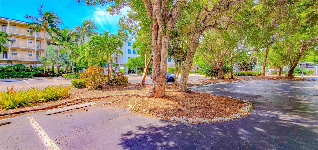 На продажу: $500,000 (1 спален, 1 ванн, 577 Квадратных фут)