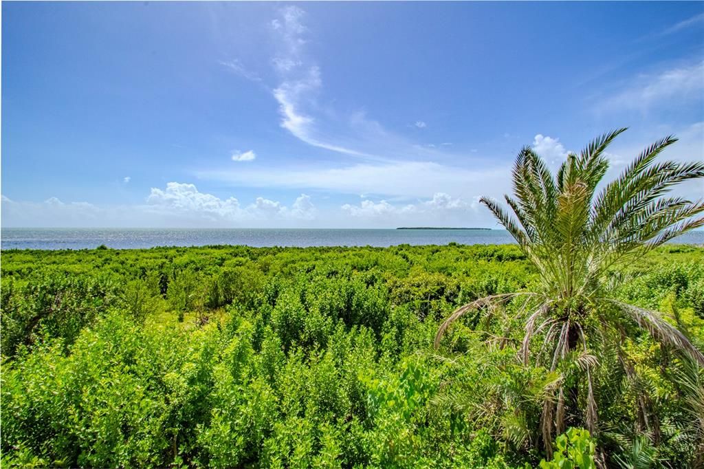 На продажу: $500,000 (1 спален, 1 ванн, 577 Квадратных фут)