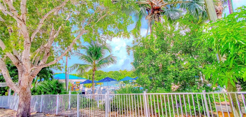 На продажу: $500,000 (1 спален, 1 ванн, 577 Квадратных фут)