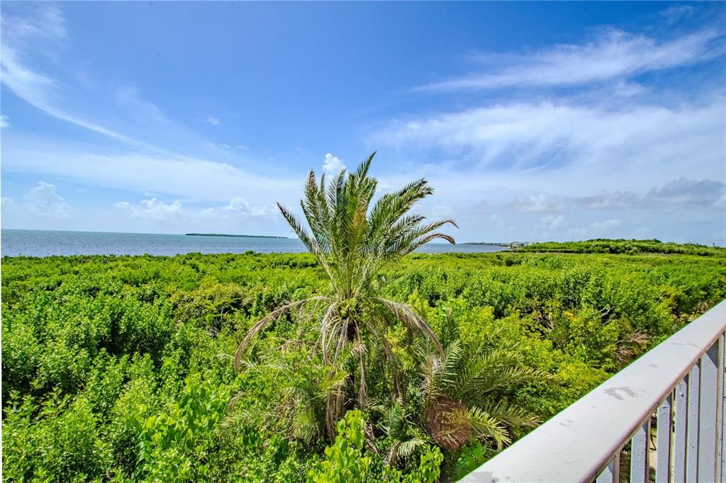 На продажу: $500,000 (1 спален, 1 ванн, 577 Квадратных фут)