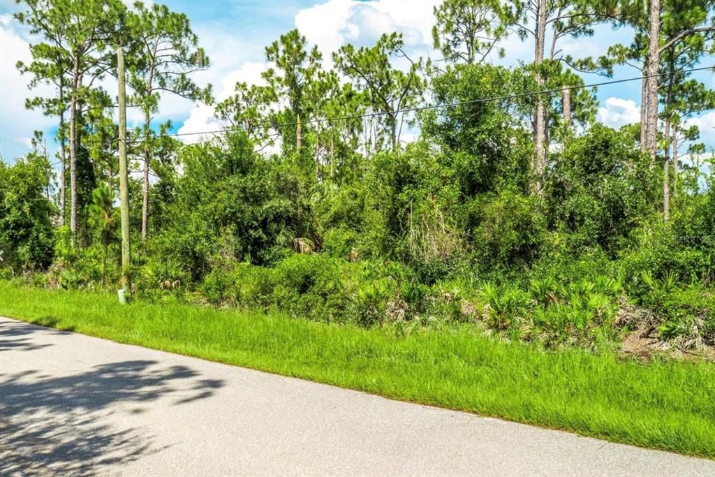 На продажу: $22,500 (0.23 acres)