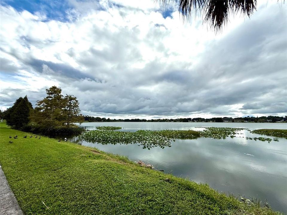 Activo con contrato: $499,900 (6 camas, 0 baños, 3600 Pies cuadrados)