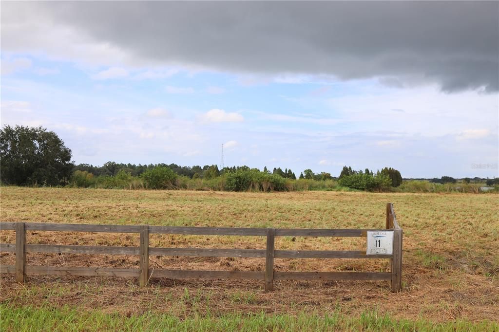 For Sale: $99,000 (5.06 acres)