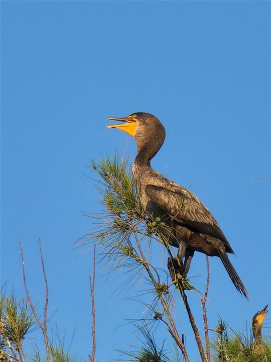 For Sale: $360,000 (2 beds, 2 baths, 1236 Square Feet)