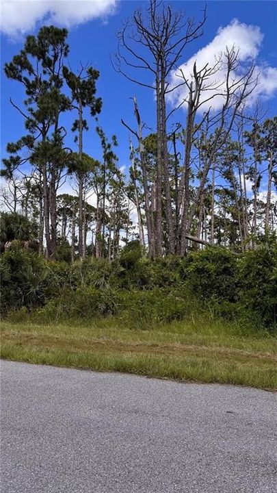 For Sale: $18,900 (0.23 acres)