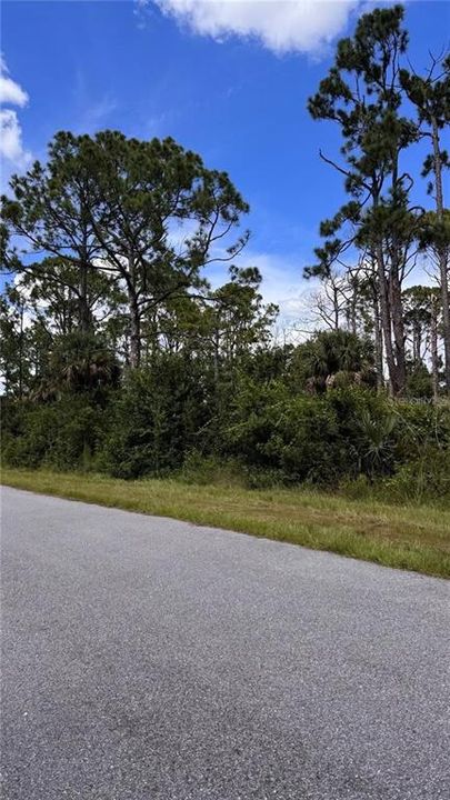 For Sale: $18,900 (0.23 acres)