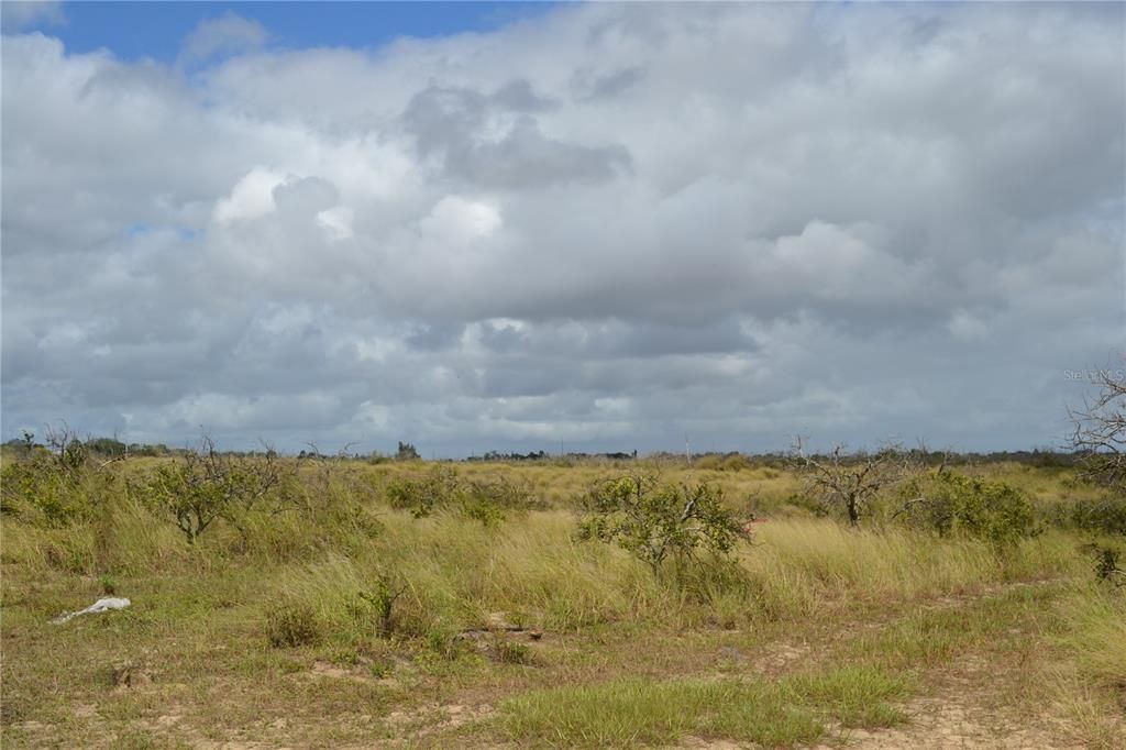 待售: $273,500 (17.00 acres)