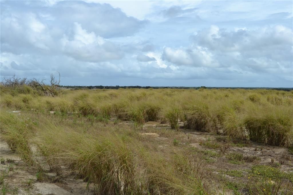 待售: $273,500 (17.00 acres)