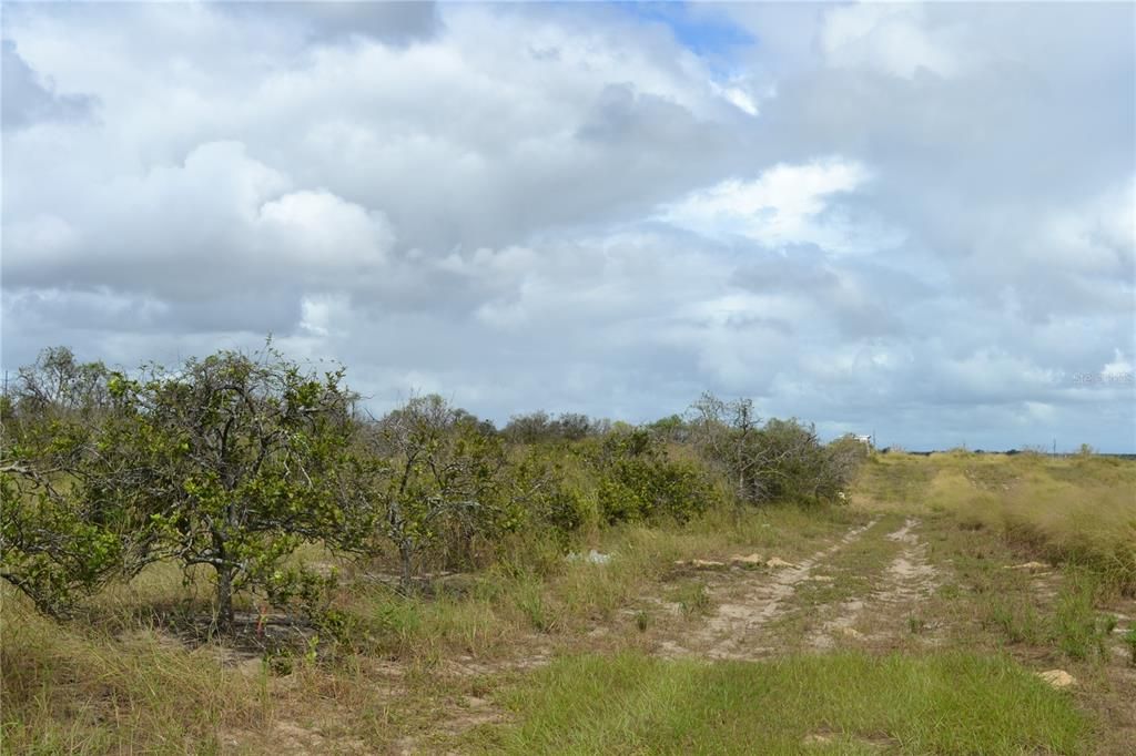 待售: $273,500 (17.00 acres)