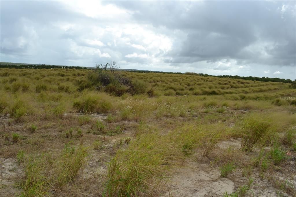 待售: $273,500 (17.00 acres)