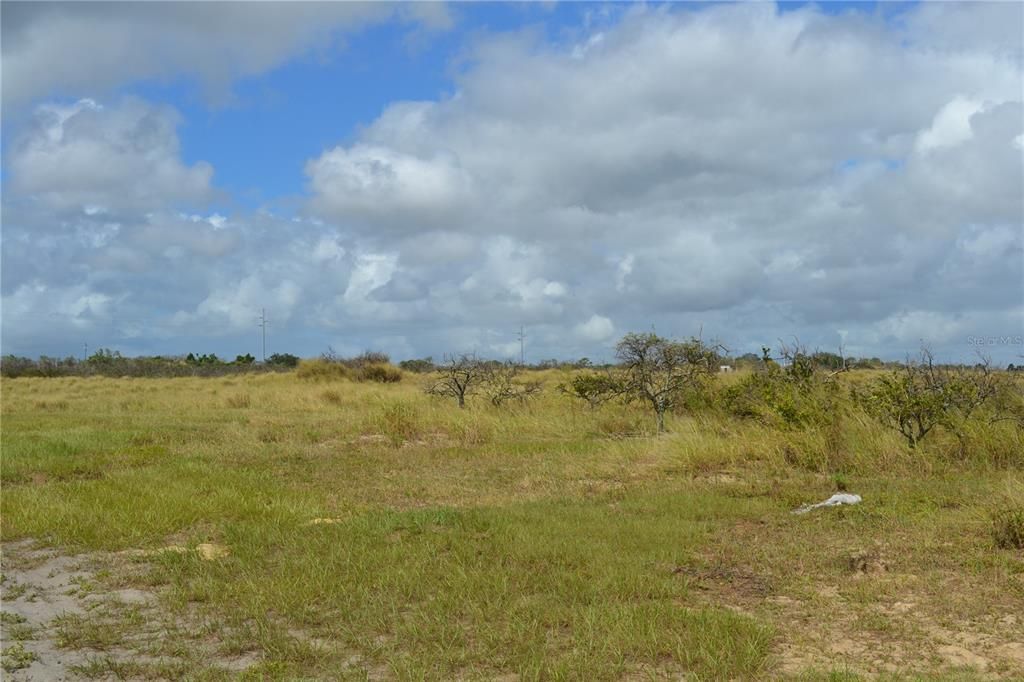 待售: $273,500 (17.00 acres)