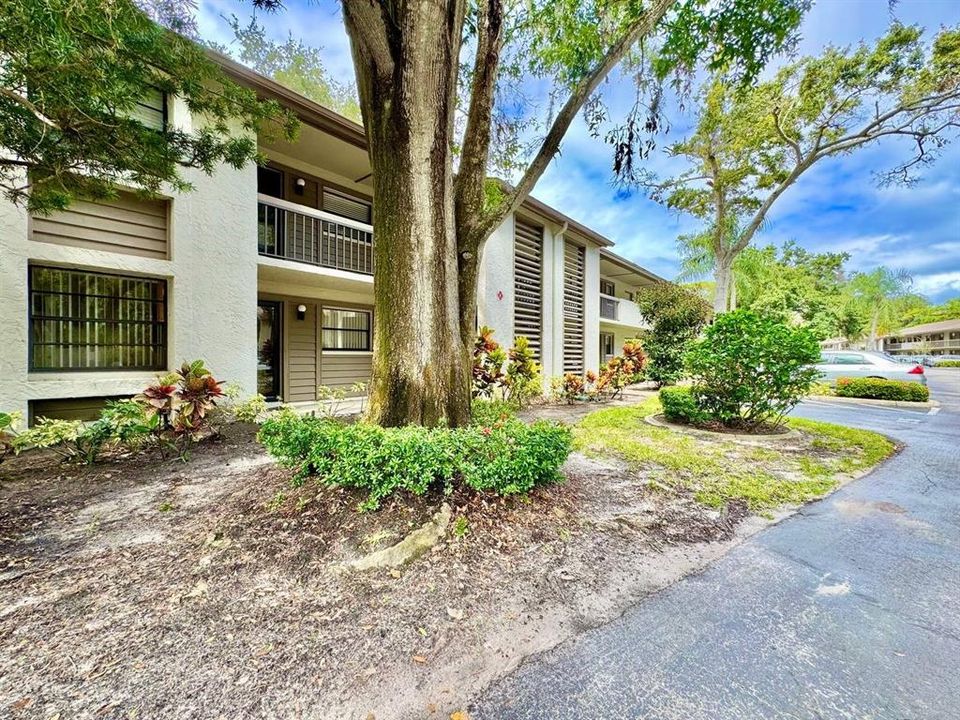 Недавно арендовано: $1,600 (2 спален, 2 ванн, 950 Квадратных фут)