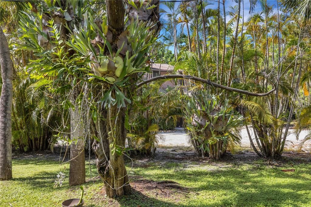 待售: $4,995,000 (5 贝兹, 3 浴室, 2658 平方英尺)