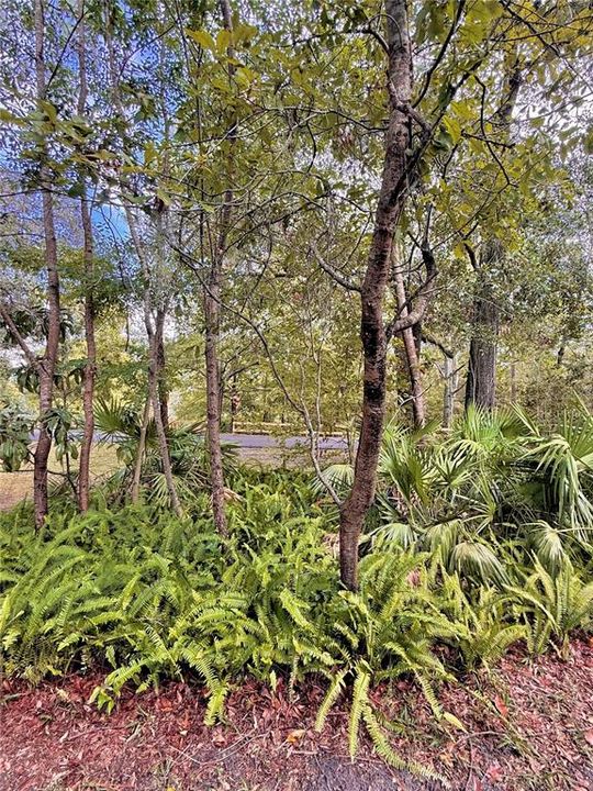 For Rent: $1,400 (2 beds, 1 baths, 938 Square Feet)