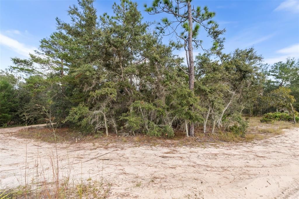 For Sale: $99,970 (5.00 acres)