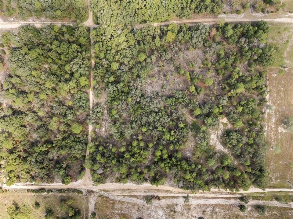 For Sale: $99,970 (5.00 acres)
