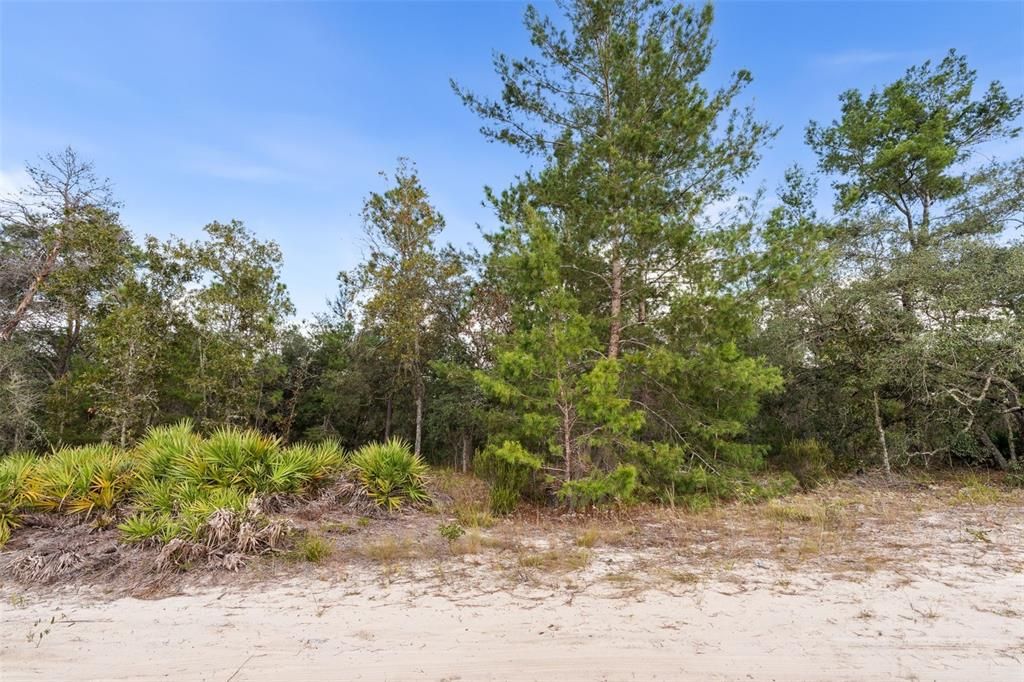 For Sale: $99,970 (5.00 acres)